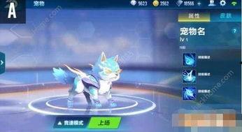 QQ飞车最新宠物爆料,神秘力量觉醒，速度与激情再升级！